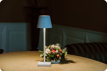 QUERCETO Светодиодная настольная лампа для ресторана NSM2022A Черный