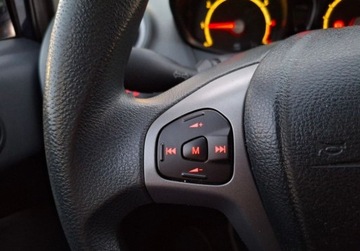 Ford Fiesta VII Hatchback 5d 1.25 Duratec 60KM 2010 Ford Fiesta Ford Fiesta 1.25 60KM MT5 Ambiente Salon PL 1.2 Benzyna 60KM, zdjęcie 15