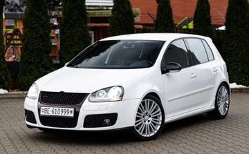 Volkswagen Golf V Hatchback 2.0 GTI 200KM 2005 Volkswagen Golf GTI 2.0B 200Ps Bixenony Navi K...