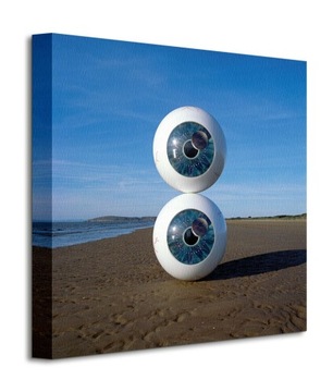 Pink Floyd Pulse Eyeballs Obraz płótno 40x40 cm