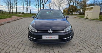 Volkswagen Golf VII Hatchback 3d Facelifting 1.6 TDI-CR DPF BMT 115KM 2018 Volkswagen Golf Volkswagen Golf 1.6 TDI (BlueM...