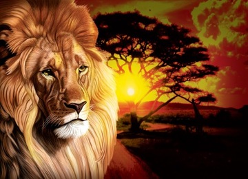 Фотообои LION SAFARI SUNSET TREE 254x184
