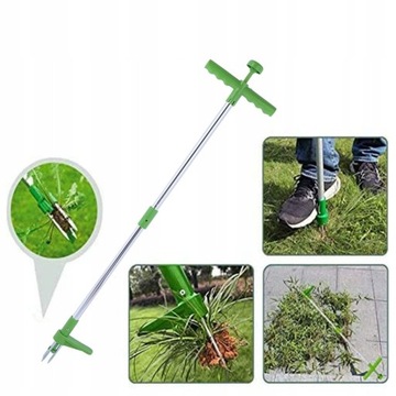 УДАЛЕНИЕ СОРНЯКОВ ДЛЯ УДАЛЕНИЯ СОРНЯКОВ