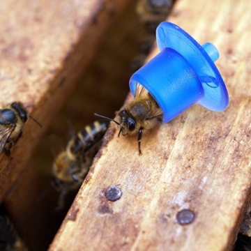 TARASOWA KLATKA DO ŁAPAKA PSZCZELI MLECZKA PSZCZELI