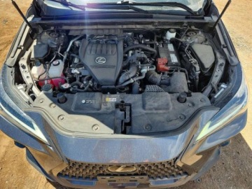 Lexus NX II 2023 Lexus NX 350 2023 2.4 Benzyna 275KM, zdjęcie 6