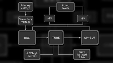 aune Flamingo czarny