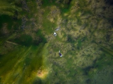 SPŁAWIK ZESTAW FOX ZIG FLOAT KIT DO ZIG RIG