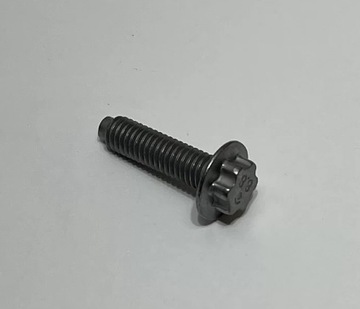 ŚRUBA M6-1.0X23 TESLA MODEL 3 1100020-00-A