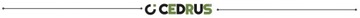 CEDRUS GLX540 БЕНЗИНОВЫЙ ПОЛНАЯ ТРАНСМИССИЯ БАШНЯ 3-СКОРОСТНАЯ DZIK PRO XXL