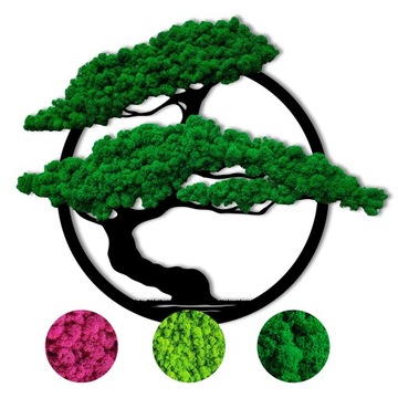 Bonsai z mchem chrobotkiem 56cm drzewo mech chrobotek NA SOLIDNEJ PŁYCIE