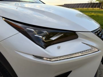 Lexus NX I SUV Facelifting 300 238KM 2021 LEXUS NX 300 F Impression 4x4 E-FOUR | Polski Salon | Biała perła | JakNOWY, zdjęcie 18