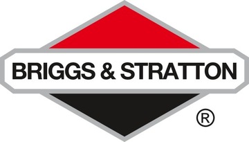 BRIGGS & STRATTON OIL 4T 0,6л SAE30