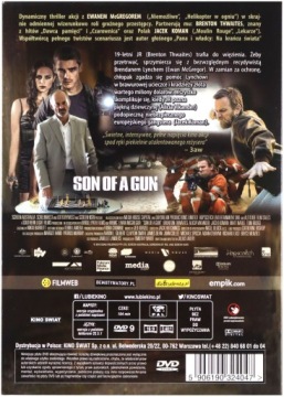 СЫН РУЖЬЯ [DVD]