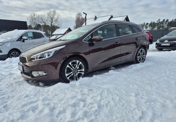 Kia Ceed II Kombi 1.6 GDI 135KM 2014 Kia Ceed 1,6 135 KM Business Line Zarejestrowany w PL 1.6 Benzyna, zdjęcie 27