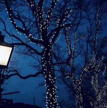 СОЛНЕЧНЫЕ РОЖДЕСТВЕНСКИЕ ОГНИ, ДЕКОРАТИВНЫЕ, НАРУЖНЫЕ, ГИРЛАНД, 100LED, ХОЛОДНЫЙ БЕЛЫЙ