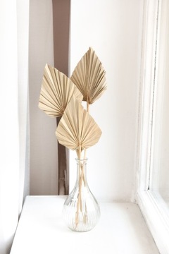 Сушеный пальмовый лист ARROW PALM SPEAR веер