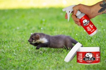 НАБОР ДЛЯ ЗАЩИТЫ ДВИГАТЕЛЯ АВТОМОБИЛЯ ОТ ГРЫЗУНОВ ГЕЛЬ-СПРЕЙ КРАСНЫЙ