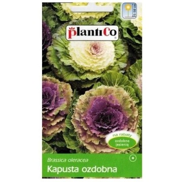 KAPUSTA OZDOBNA 0,5G