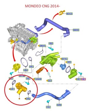 ВОДЯНОЙ РАЗЪЕМ FORD 1.0 ECOBOOST — CM5G-8A529-GB OE