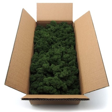 Mech chrobotek norweski 500g