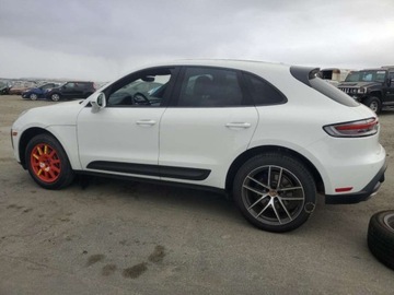 Porsche Macan 2023 Porsche Macan Base 2023 2.0l 2.0 Benzyna 261KM, zdjęcie 1