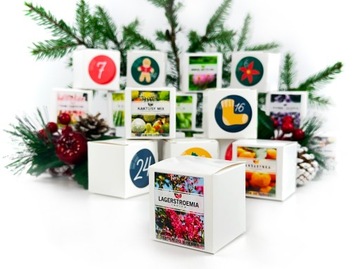 АДВЕНТ-КАЛЕНДАРЬ Растения для выращивания Набор своими руками 24 коробки Подарок на Рождество