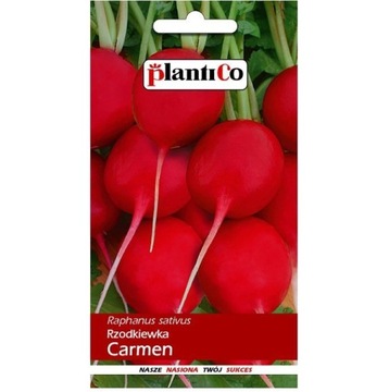 RZODKIEWKA CZERWONA CARMEN NASIONA 10g PLANTICO