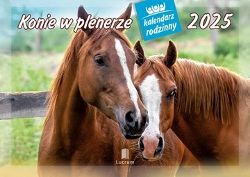 KALENDARZ RODZINNY 2025 ŚCIENNY KONIE W PLENERZE / LUCRUM