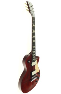 Gibson Les Paul Studio AGI Don Lace D-100/2010 г.