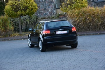 Audi A3 8P Hatchback 3d 1.6 102KM 2008 Audi A3 1.6MPi 102KM Manual 2008r. lift Climatroni, zdjęcie 16