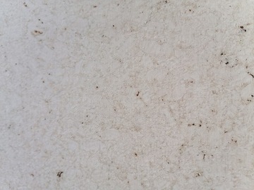 Korek ścienny - BazaLux Creamy White 1,98m2