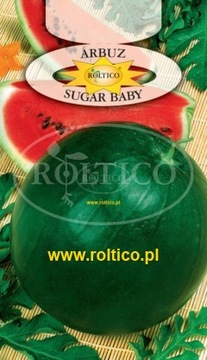 Nasiona arbuza Arbuz Sugar Baby na POLSKE