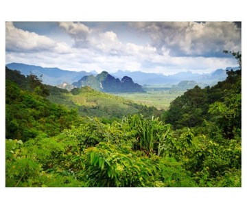 Fototapeta 312x219cm Tropikalny las deszczowy Khao