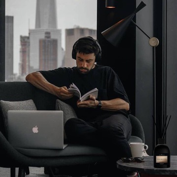 ОДИН МИЛЛИОН ПАРФЮМЕРНЫХ АРОМАТ ДЛЯ ДОМА ДИФФУЗОР ПАЛОЧКИ ОСВЕЖИТЕЛЬ 250мл 90 ДНЕЙ