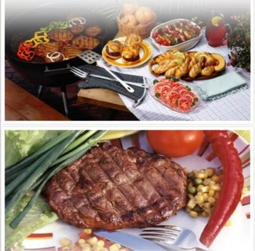 РУЧНОЙ ГРИЛЬ С ВЕНТИЛЯТОРОМ