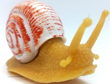 Резиновая улитка 12г