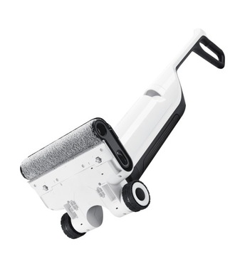 Роборок Флекси Про