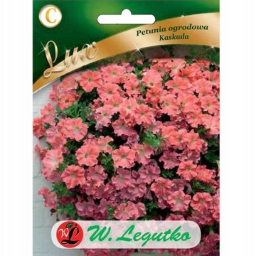 LUX PETUNIA OGRODOWA ZWISAJĄCA ŁOSOSIOWA 0,02G KASKADA