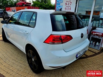 Volkswagen Golf VII Hatchback 3d 1.6 TDI-CR DPF 105KM 2013 Volkswagen Golf Hatchback zarejestrowany niski przebieg nawigacja 1.6 105KM, zdjęcie 3