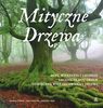 Mityczne drzewa Stumpf Ursula, Zingsem /uszkodz