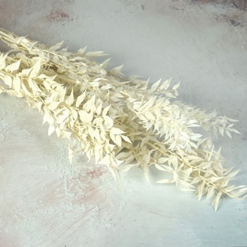 Сушеный беленый Рускус Natural Beauty Букет Белого Рускуса