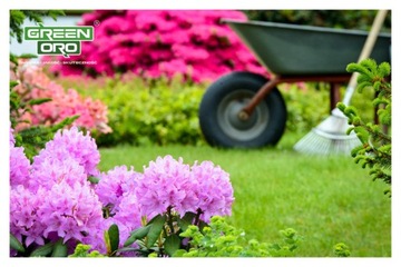 Удобрение для рододендронов, рододендронов, кислолюбивых гортензий, 1,5 кг, 100 дней