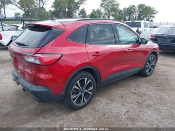 Ford Escape III 2021 Ford Escape 2021r, SEL, 2.0L, 4x4 2.0 Benzyna 250KM, zdjęcie 6