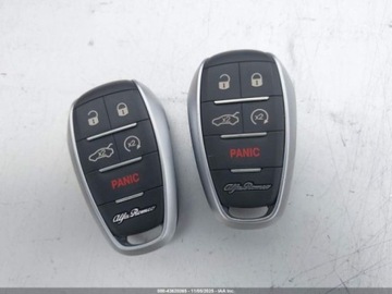 Alfa Romeo Stelvio 2020 Alfa Romeo Stelvio 2020 r., 2,0L RWD 2.0 Benzyna 280KM, zdjęcie 12