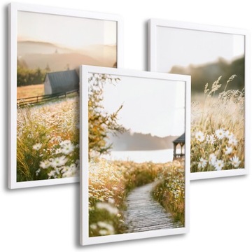 OBRAZY DO SALONU KUCHNI SYPIALNI 3 PLAKATY W RAMIE NA ŚCIANĘ WIDOKI 50 x 40
