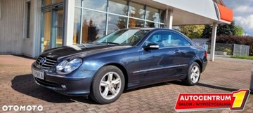 Mercedes CLK W209 Coupe C209 1.8 (200 Kompressor) 163KM 2003 Mercedes-Benz CLK Mercedes-Benz CLK, zdjęcie 22