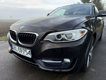 BMW Seria 2 F22-F23-F45-F46 Coupe 220i (Euro 6) 184KM 2016 BMW 220 2.0i 184KM 68tys.km. Navi Bezwypadkowy, zdjęcie 36