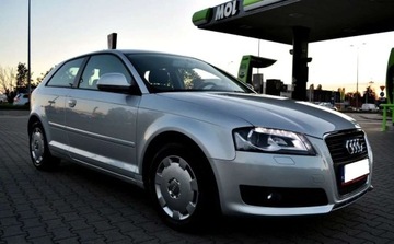 Audi A3 8P Hatchback 3d 1.6 102KM 2009 Audi A3 Klimatyzacja, Ksenony, Podgrzewane fotele, Czujniki parkowania tyl, zdjęcie 14