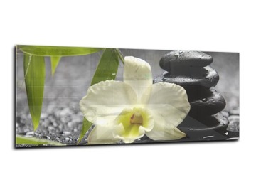 panel szklany do kuchni lacobel 125x50 storczyk