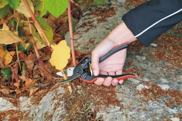 Секатор FELCO 160S – модель для маленьких рук